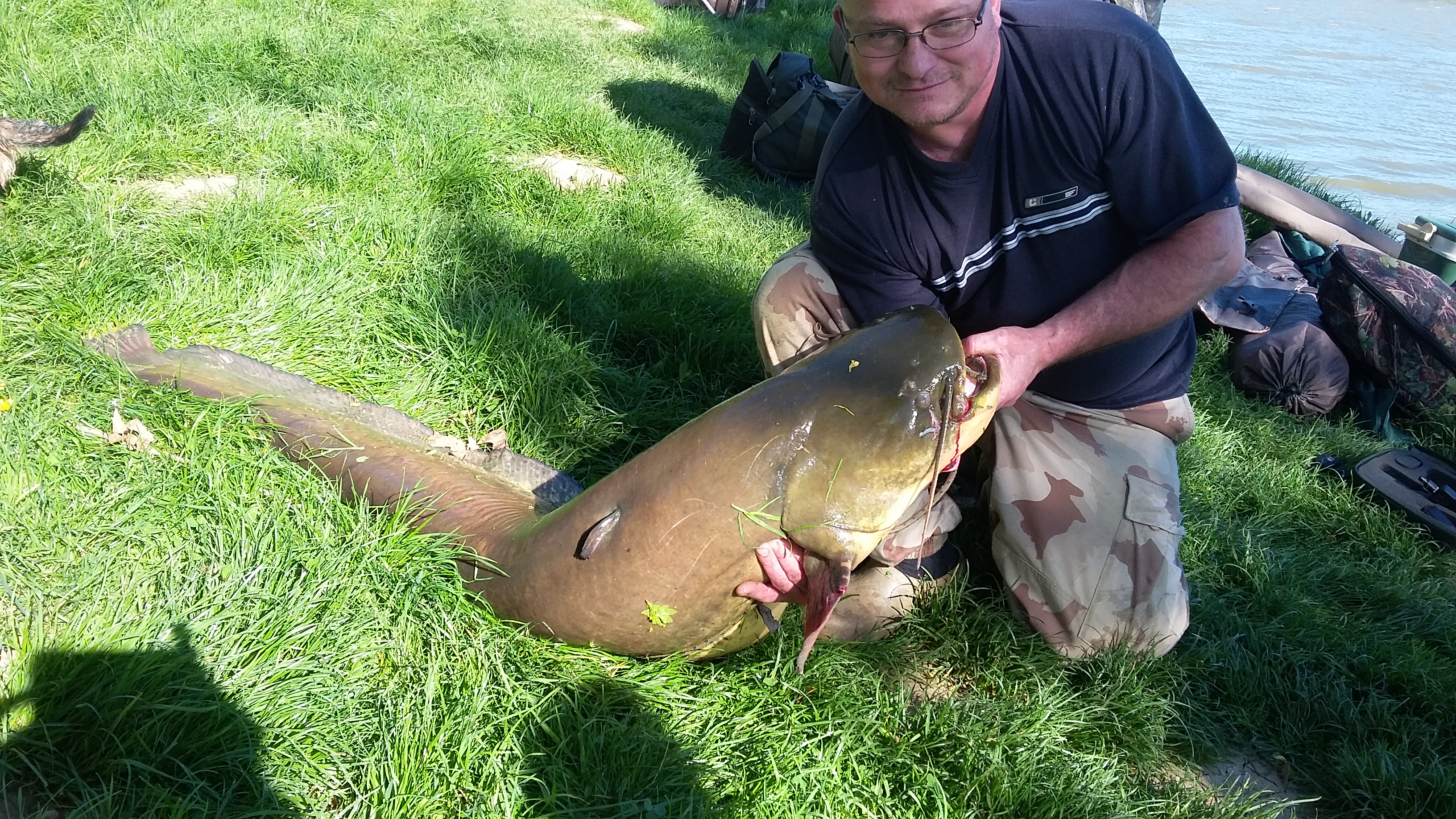 2016.04.16 Egy szép harcsa 37kg