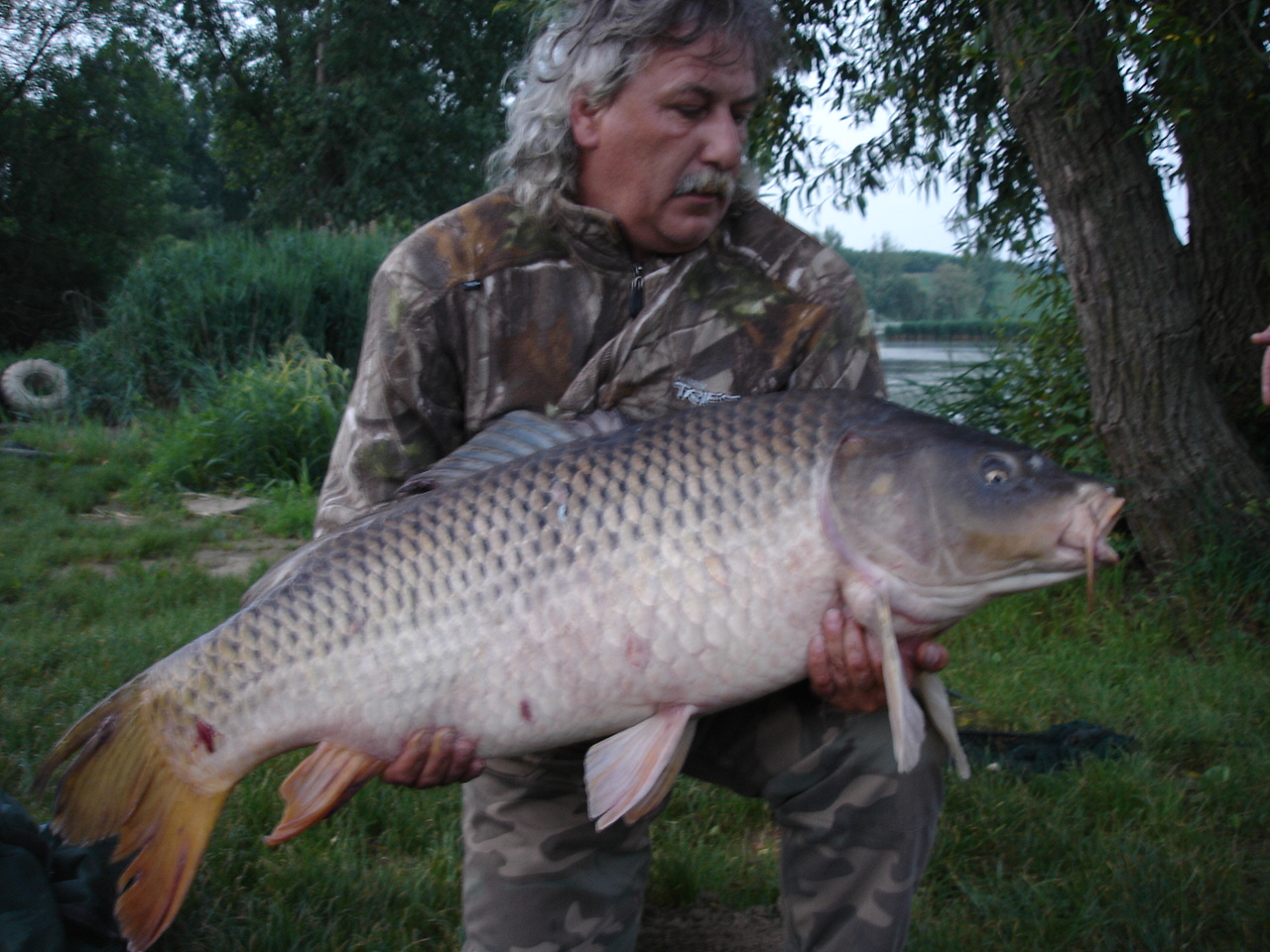 23.7 kg